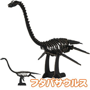 【8点までメール便も可能】ハコモ フタバサウルス BLACK  [ペーパークラフト 恐竜 ダイナソー 手作り 段ボール 組立式 工作キット 小学生 夏休み 置物 インテリア 飾り おもちゃ 玩具 子ど