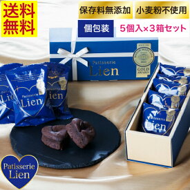 【ノワール 】 ガトーショコラ 5個入×3箱セット 送料無料 敬老の日 バレンタイン ホワイトデー プレゼント ご挨拶 お祝い 内祝い 出産祝 お返し 手土産 お礼 ハート型 個包装 高級 チョコレート スイーツ 退職 引越 しっとり濃厚 誕生日 焼菓子