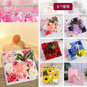 �\�[�v�t�����[ ���Ԃ� �z���C�g�f�[ �t�����[�o�����^�C�� ��̓��M�t�g �Ό��� �͂�Ȃ��� �X�N�G�A�{�b�N�X �v���[���g �����j�� tokits�s��