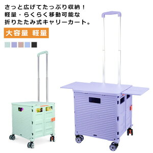 �L���X �L�����[�J�[�g 2WAY �������y�� �W��̌^ �L�����[�J�[�g 55L ���� ��e�� 360�x �������s �X�|�[�c �^���� �ω׏d80kg �^�� �ו� �V�� �s�N�j�b�N �������J�[�g 4�� ���ݑ� �ב� BBQ ����