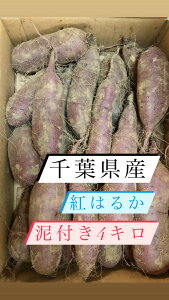 ND]!!  Tc}C g͂邩 ܂ tY Dt 4L TCYMIX  Ă ˂ƂH ƂH AX AX Dt TCNi{[