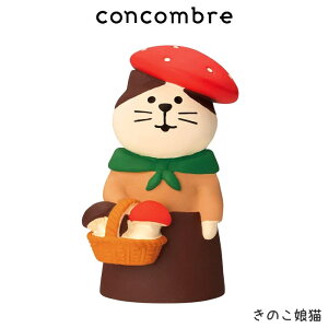 RRu concombre fR DECOLE ̂̐X w ̂L x܂  fBXvC u y K̔X zy lΉs/[֕s z