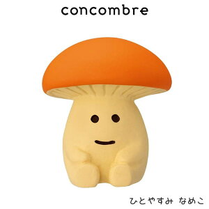 RRu concombre fR DECOLE ̂̐X w ЂƂ₷ Ȃ߂ x܂  fBXvC u y K̔X zy lΉs/[֕s z