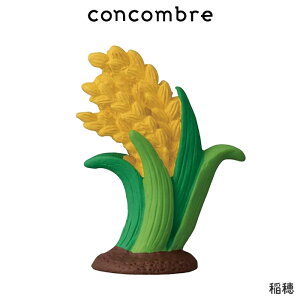 RRu concombre fR DECOLE H VčՂ w  x ܂  fBXvC u y K̔X zy lΉs/[֕s z