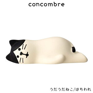 RRu concombre fR DECOLE ˂ / S3@܂  fBXvC u y K̔X zy ls/[֕s z