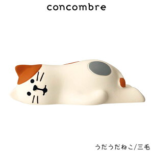 RRu concombre fR DECOLE ˂ / S3@܂  fBXvC u y K̔X zy ls/[֕s z