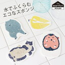 【 メール便可 】 e. ポップアップ スポンジ 型抜き kata kata ( カタカタ ) 全5種　水を含ませると膨れる セルロース素材のエコスポンジ エコンフォートハウス 【 正規販売店 】