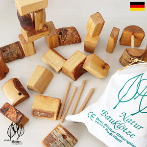 Drei Blatter ( hCub^[ ) R̂ݖ؁@؂̂ ςݖ ubN y K̔X zy ls/[֕s z