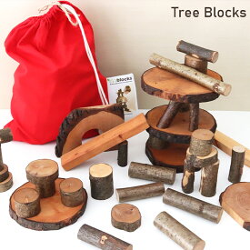 マジックウッド社 ツリーブロックス　木のおもちゃ 積み木 ブロック 対象年齢3歳～ 【 正規販売店 】