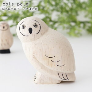 polepole ( ۂۂ ) ؐ G ۂۂeq / tNEe@ y ͐ê݁Bq͕ʔł zy K̔X zy lΉs/[֕s z