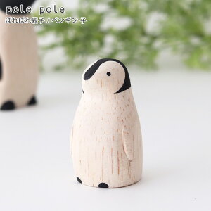 polepole ( ۂۂ ) ؐ G ۂۂeq / yMq@ y ͎q̂݁Be͕ʔł zy K̔X zy lΉs/[֕s z