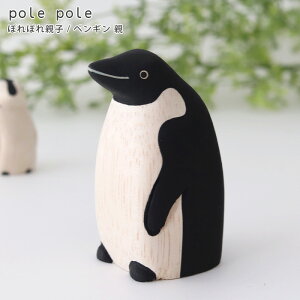 polepole ( ۂۂ ) ؐ G ۂۂeq / yMe@ y ͐ê݁Bq͕ʔł zy K̔X zy lΉs/[֕s z