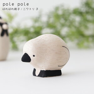 polepole ( ۂۂ ) ؐ G ۂۂeq / jgq@ y ͎q̂݁Be͕ʔł zy K̔X zy lΉs/[֕s z