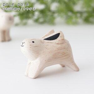 polepole ( ۂۂ ) ؐ G ۂۂeq / ETMq@ y ͎q̂݁Be͕ʔł zy K̔X zy lΉs/[֕s z