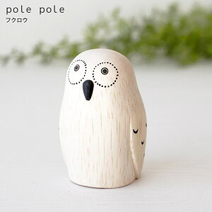 polepole ( ۂۂ ) ؐ G ۂۂꓮ tNE@y K̔X zy lΉs/[֕s z