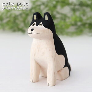 polepole ( ۂۂ ) ؐ G ۂۂꓮ VxAnXL[@y K̔X zy ls/[֕s z