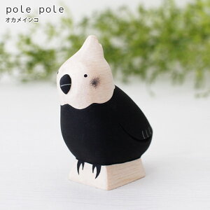 polepole ( ۂۂ ) ؐ G ۂۂꓮ IJCR@y K̔X zy lΉs/[֕s z