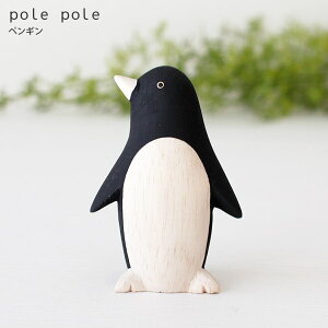 polepole ( ۂۂ ) ؐ G ۂۂꓮ yM@y K̔X zy lΉs/[֕s z