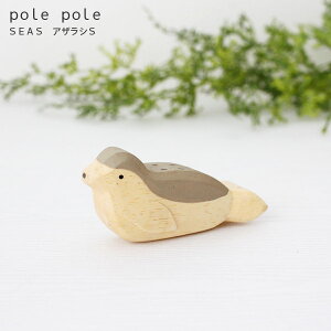 polepole ( ۂۂ ) ؐ G Seas V[Y / AUV S@y K̔X zy lΉs/[֕s z