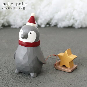 polepole ( ۂۂ ) NX}XRNV yMT^ / @ ؐ u G y lΉs/[֕s z