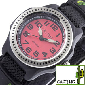 yŵqlɂ͂zJN^X v CACTUS v LbY rv qǂ  w ct a q c ۈ牀 v[g Mtg qprv qpv LbYv ̎q j