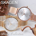 SKAGEN スカーゲン 腕時計 時計 スカーゲン時計 ブランド レディース レディース腕時計 アナログ シンプル メッシュ メッシュベルト 女性 女子 軽い 軽量 薄い 薄型 仕事 ビジネス 小ぶり 小さい 小さめ 妻 奥さん 嫁 さん 母 母親 お母さん 誕生日 プレゼント 記念日 ギフト