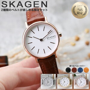 【2種類のベルトセット】当店限定 スカーゲン 時計 SKAGEN 腕時計 SIGNATUR レディース 女性 向け プレゼント ギフト 人気 ブランド おすすめ 定番 シンプル 見やすい メッシュベルト 革ベルト ビ