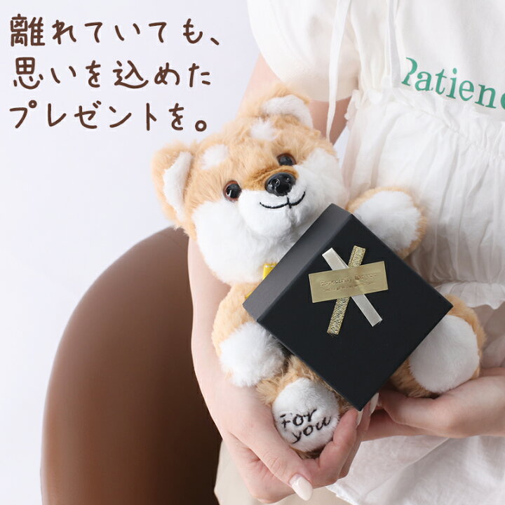 楽天市場 思い出に残るプレゼント わんちゃん ねこちゃん ラッピング いぬ ねこ 犬 猫 柴犬 ぬいぐるみ クリスマス 誕生日 プレゼント ギフト 贈り物 豪華 かわいい おしゃれ 可愛い 人気 子供 夫婦 記念日 サプライズ 誕生日プレゼント 人形 男の子 女の子 妻 彼女 楽天市場 思い出に残るプレゼント わんちゃん ねこちゃん ラッピング いぬ ねこ 犬 猫 柴犬 ぬいぐるみ クリスマス 誕生日 プレゼント ギフト 贈り物 豪華 かわいい おしゃれ 可愛い 人気 子供 夫婦 記念日 サプライズ 誕生日プレゼント 人形 男の子 女の子 妻 彼女
