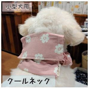 yIׂ鐶nzhJ  N[lbN N Ђ  ۗܓ w^px lbNN[[  ΍ MǑ΍  p  킢 ObY