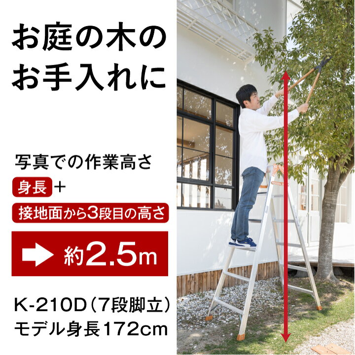 楽天市場】脚立 10段 専用 脚立 10尺 K-300 脚立 アルミ 10段 きゃたつ 