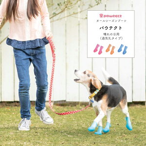 pEeNg ̓p ʋCE^Cv i3SASSTCYj MHňS /  C C  I[V[Y u[c  ybg PK  JC CV[Y  ی یV[Y