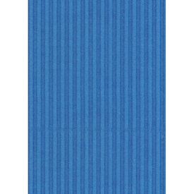 【お取寄せ品】 ヒサゴ　リップルボード　薄口　A4　ブルー　RBU08A4　1パック（3枚）