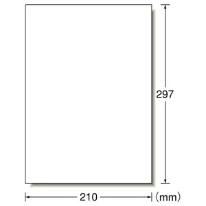 【お取寄せ品】 エーワン PPC(コピー)ラベル A4 ノーカット 28762 1箱(500シート) 【送料無料】