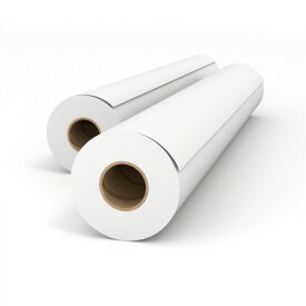 【お取寄せ品】 キヤノンプロダクションプリンティングシステムズ　レッドラベル68　ECF普通紙　RD5200B2　FSC　594mm×200m　RD5200B2FS　1箱（2本） 【送料無料】