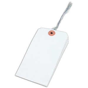 ハピラ ダイトス 針金荷札 2号 60×120mm HN2−100 1パック(100枚)