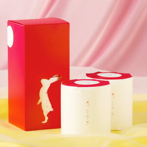 y񂹕iz ]@gCbgy[p[@Mtg{bNX@3dˁ@22m@Ԕi2[j^@1P[Xi12j yz