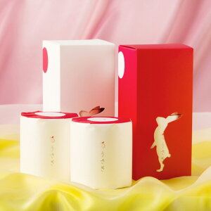 y񂹕iz ]@gCbgy[p[@Mtg{bNX@3dˁ@22m@Ԕ{i4[j^@1P[Xi8j yz