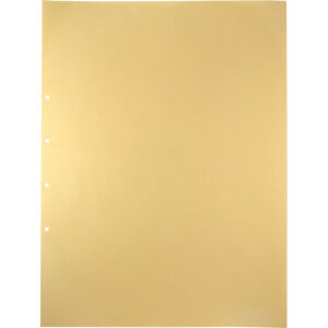 キングジム デラックス透明ポケット A2タテ 2・4穴 台紙あり 107D 1パック(10枚)