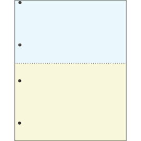 TANOSEE　汎用マルチタイププリンタ帳票　カラー用紙　A4　2分割　4穴　1箱（2500枚：500枚×5冊） 【送料無料】