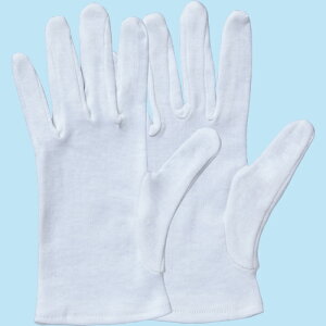 TANOSEE@XX@}`t@M@1pbNi12oj