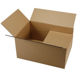 TANOSEE 可変式軽量タイプ宅配用段ボール 120/100−B3 1パック(10枚)