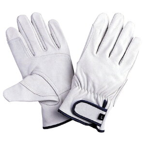 쐼HƁ@؃CW[@Aet@M@2389|M@1o