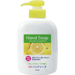Ό@pnh\[v@{́@250ml@1