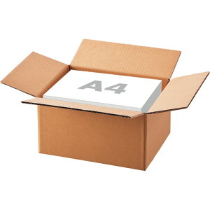 TANOSEE 無地ダンボール箱 A4判対応 軽量 Aフルート 高さ190mm 1パック(10枚)