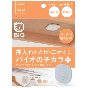 RWbg@̃JrEjICɃoCĨ`JvX@1