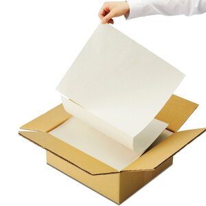 TANOSEE@{[KXy[p[ij@355×304D8mm@1i900܁j