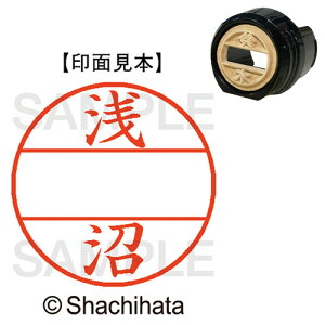 y񂹕iz V`n^@f[^[l[EX12@}X^[iʁj@@@XGL|12M|0066@1