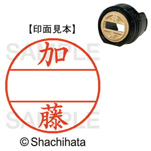 y񂹕iz V`n^@f[^[l[EX12@}X^[iʁj@@@XGL|12M|0661@1