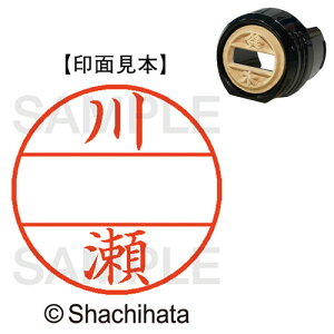 y񂹕iz V`n^@f[^[l[EX12@}X^[iʁj@@쐣@XGL|12M|0817@1