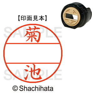 y񂹕iz V`n^@f[^[l[EX12@}X^[iʁj@@er@XGL|12M|0889@1